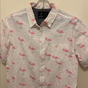 NWT Rugby University (XL)